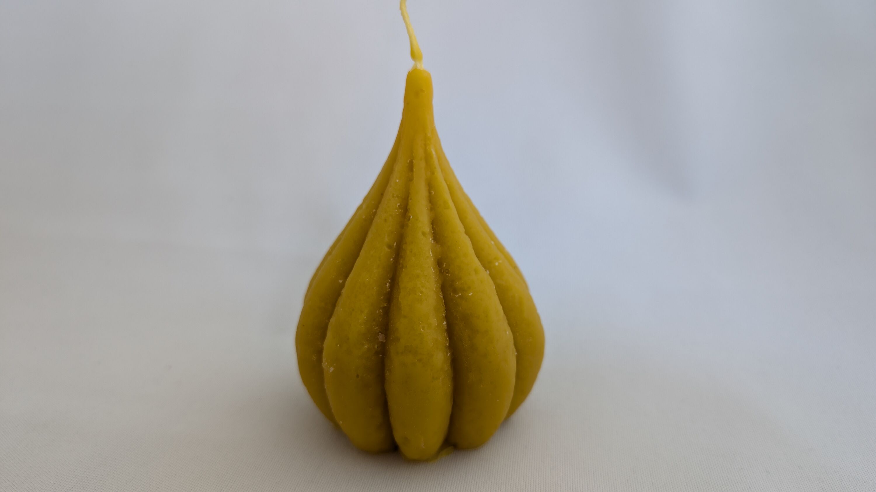 Zwiebel
