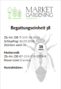 Bienenkonigin